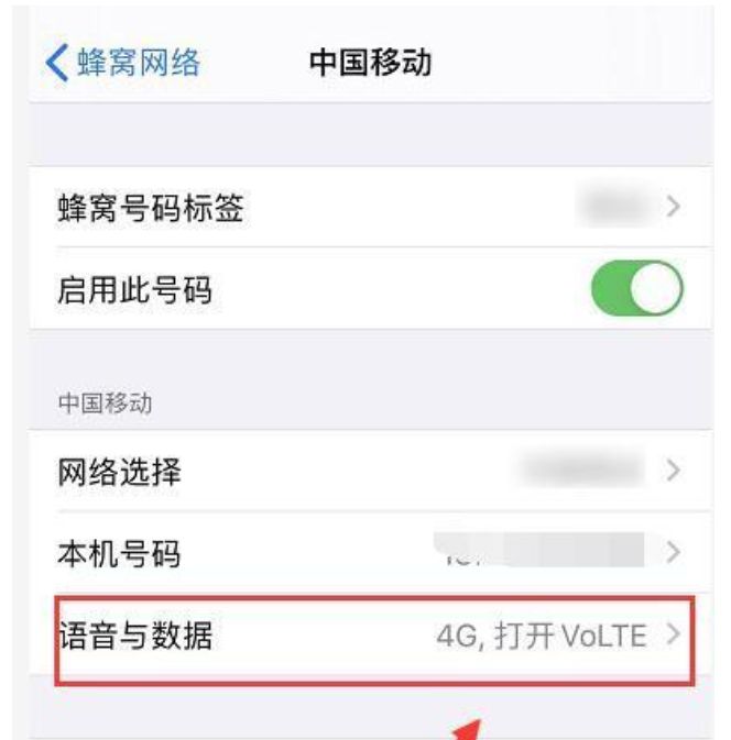 苹果13怎么调5g？ - 宋马