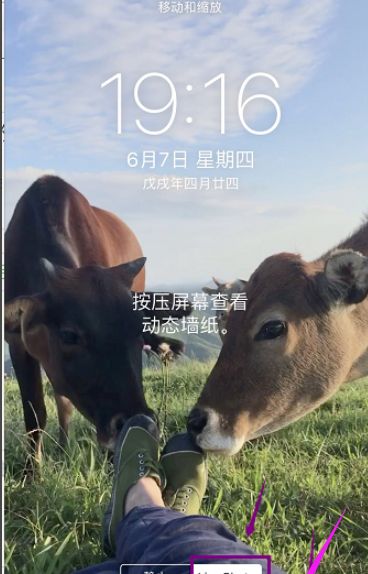 苹果11怎么把视频设置成动态壁纸？