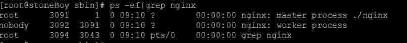 当Linux邂逅Nginx