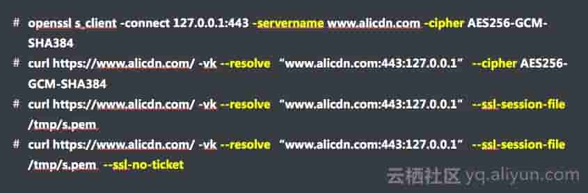 阿里云技术专家金九：Tengine HTTPS原了解析、实践与调试