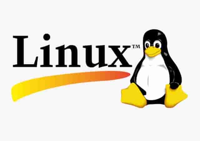 linux分区