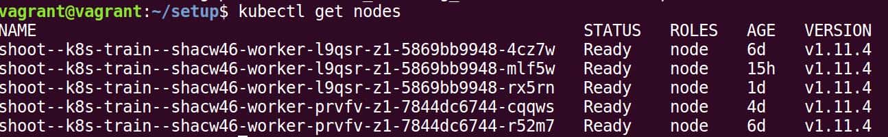 使用kubectl查看Kubernetes集群里的node节点信息