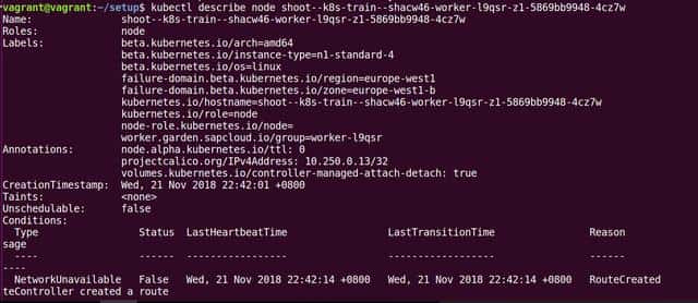 使用kubectl查看Kubernetes集群里的node节点信息