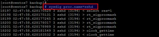 系统监察：在Ubuntu上安装开源Sysdig